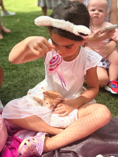The Purrfect Party Experience- Kittens Galore!