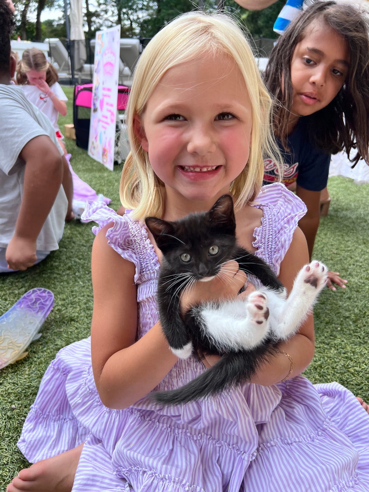 The Purrfect Party Experience- Kittens Galore!