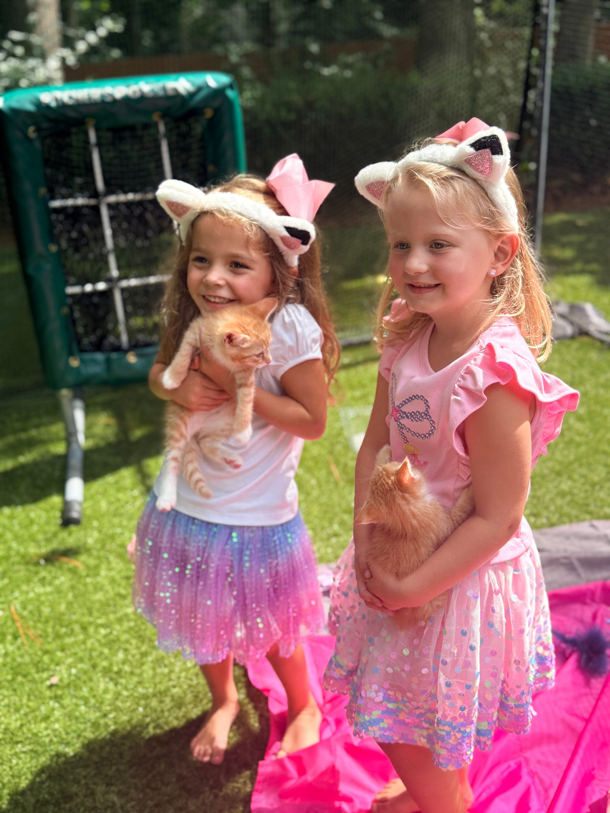 The Purrfect Party Experience- Kittens Galore!