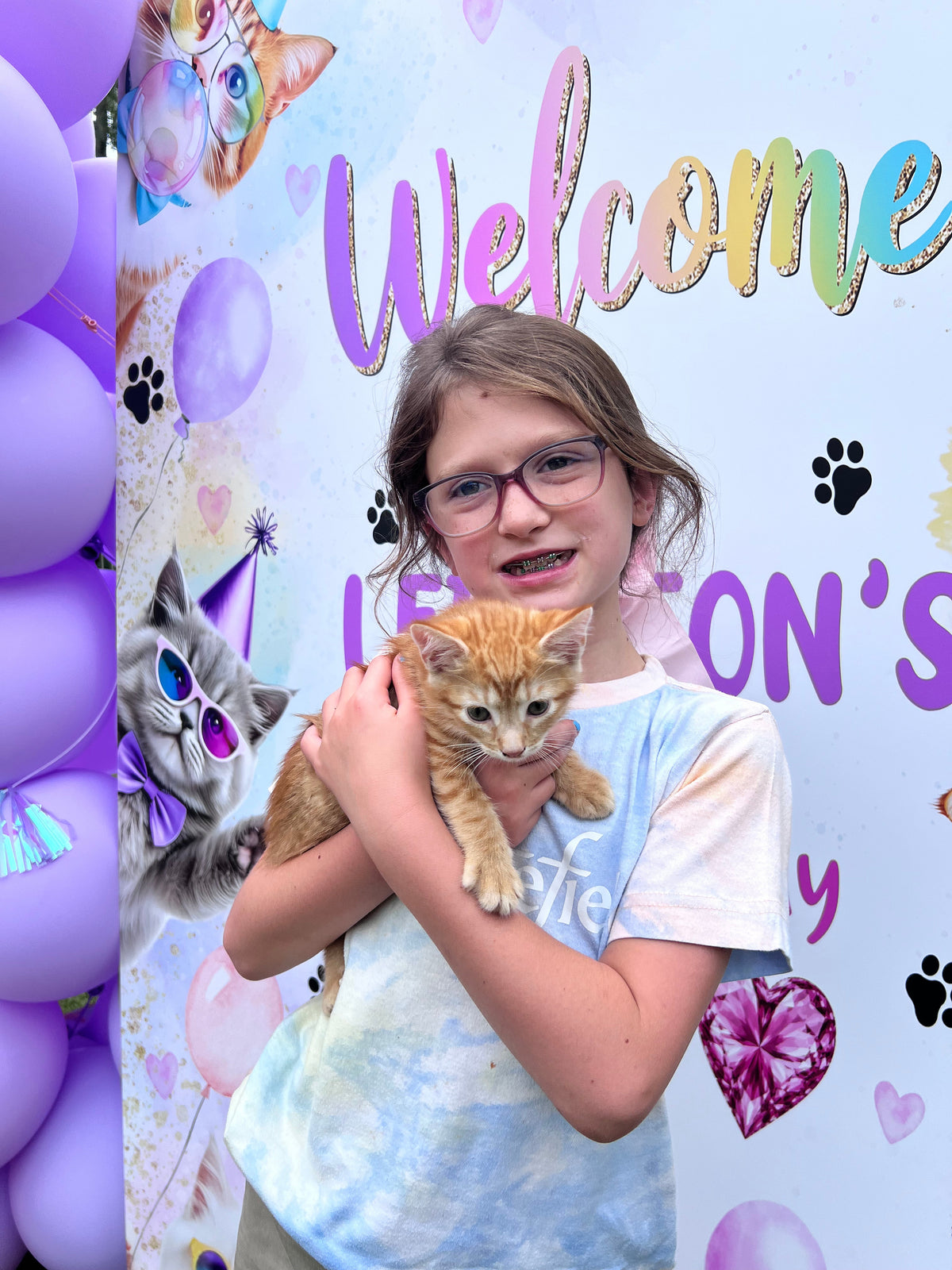 The Purrfect Party Experience- Kittens Galore!