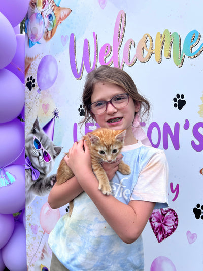 The Purrfect Party Experience- Kittens Galore!